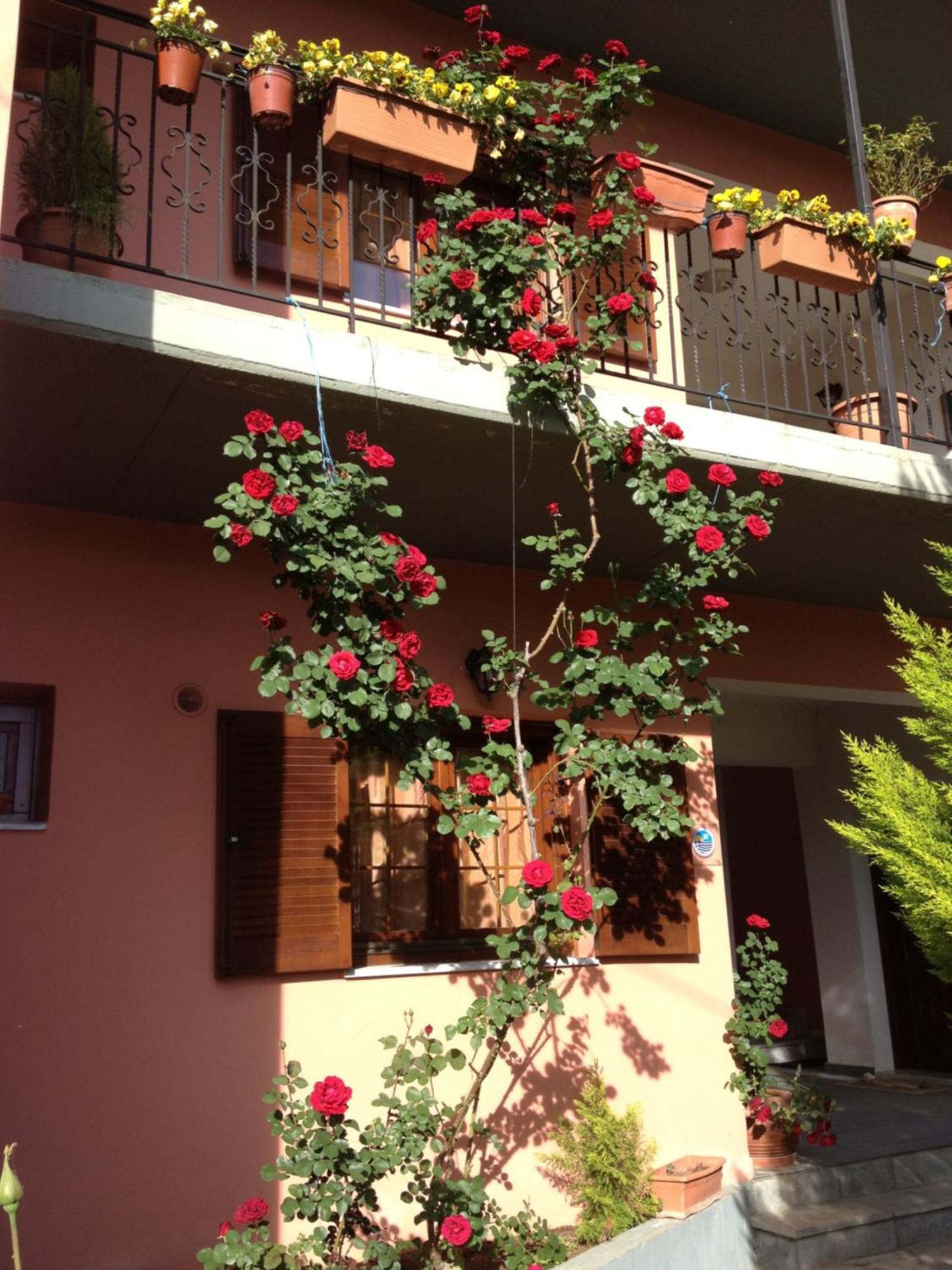 Artemis Apartments Коница Екстериор снимка