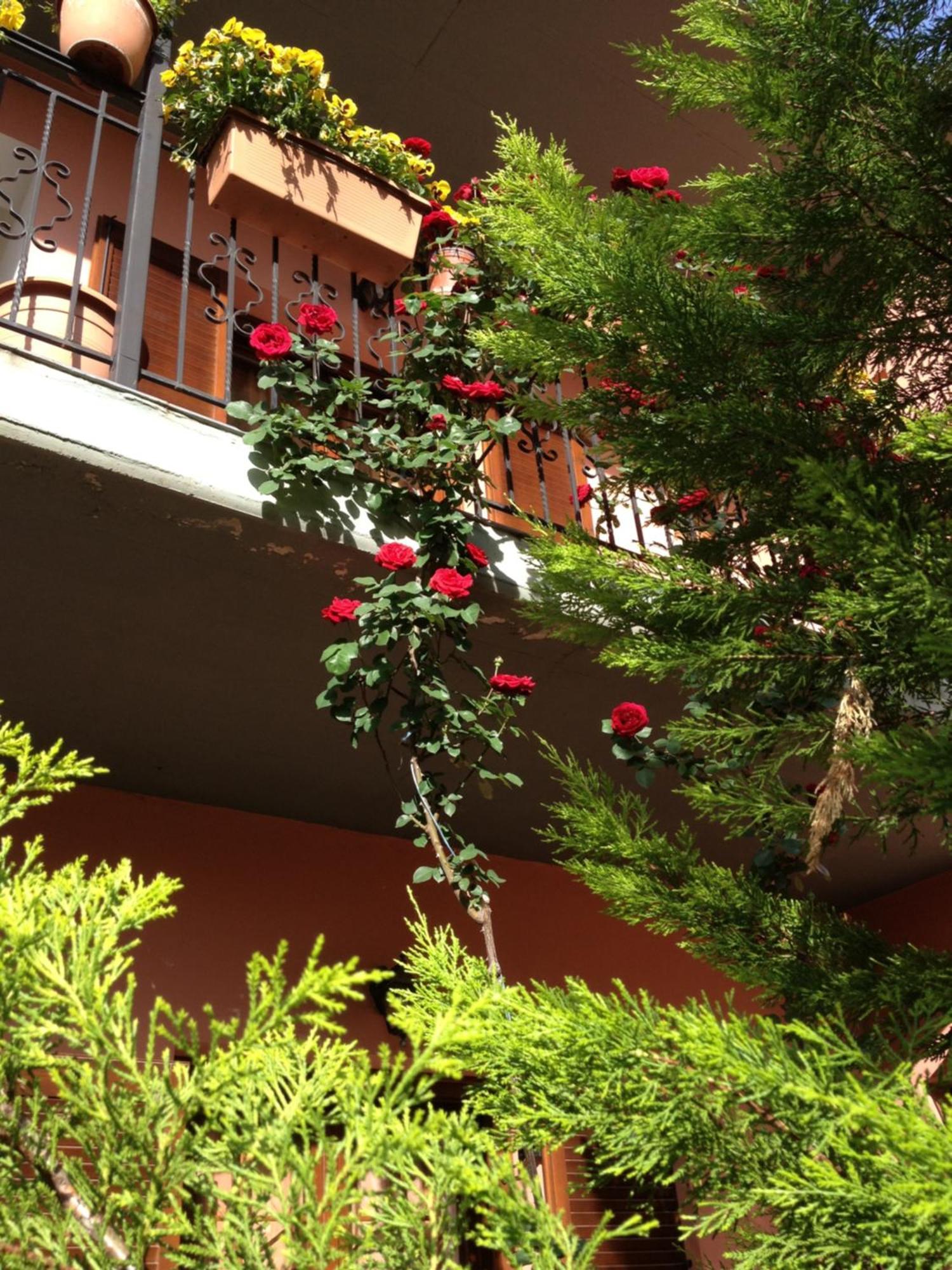 Artemis Apartments Коница Екстериор снимка