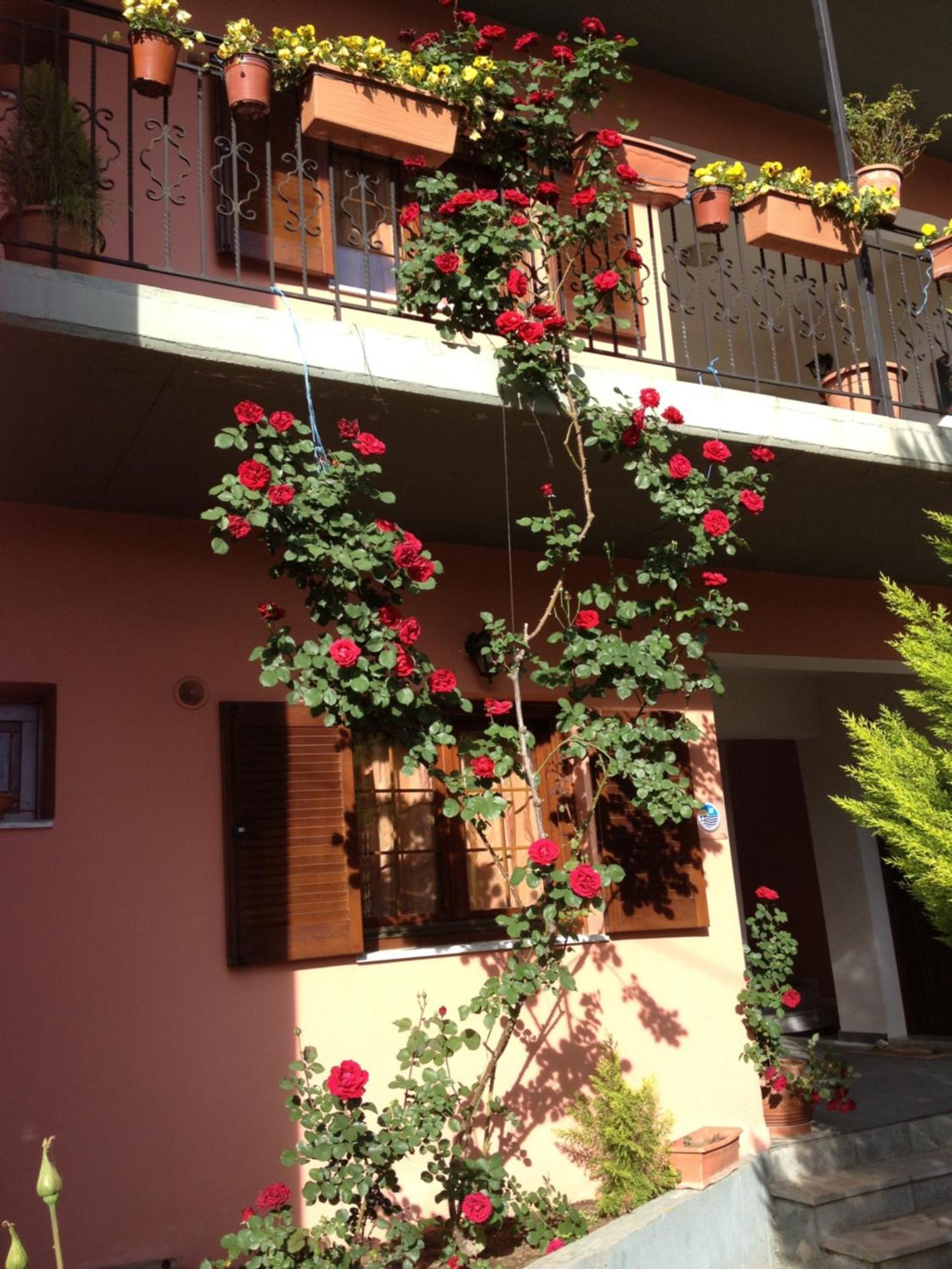 Artemis Apartments Коница Екстериор снимка