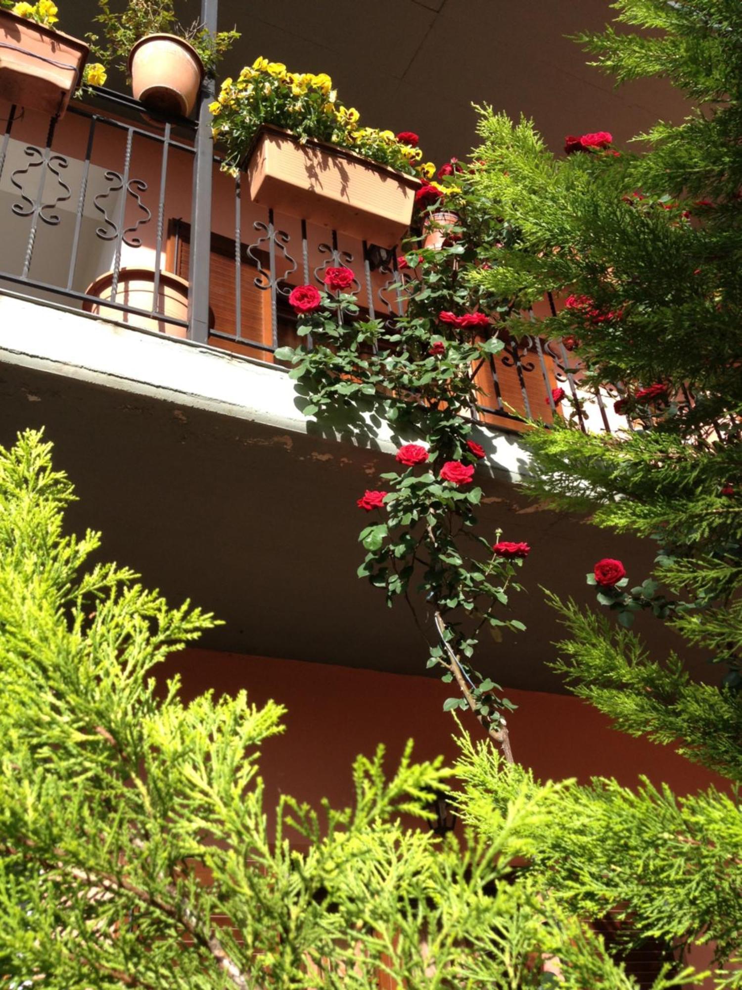 Artemis Apartments Коница Екстериор снимка